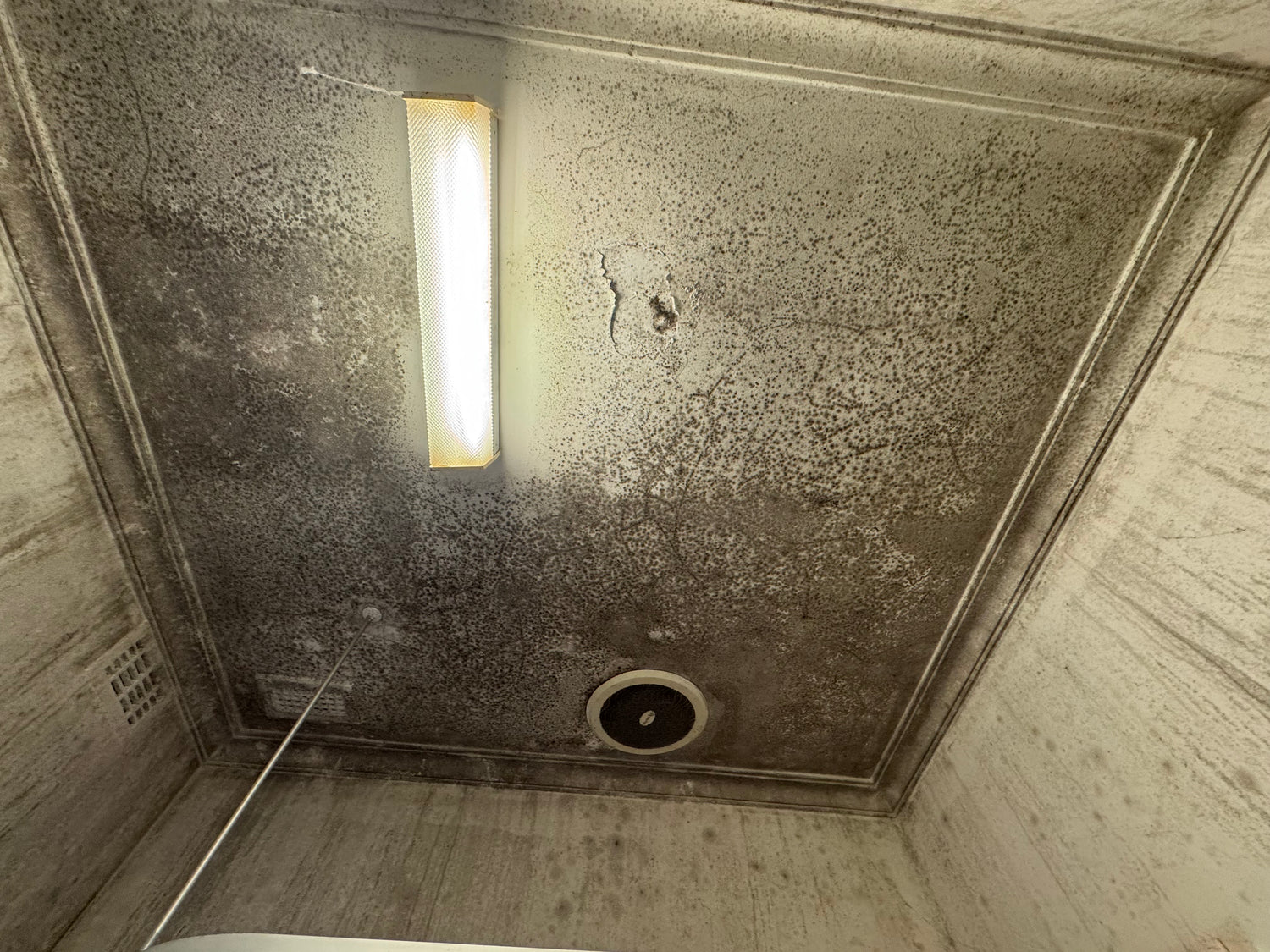 mould cleaning melbourne