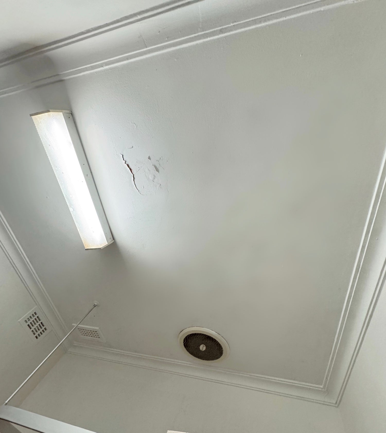 mould cleaning near me